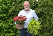 Andy Johnson, MD with Hydrangea macrophylla ‘Cherry Explosion’ & Fatsia japonica Camouflage.